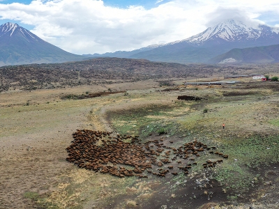 Sınır hattındaki meralar besicilikte değerlendiriliyor