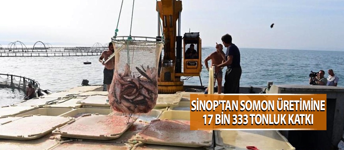 Sinop'tan somon üretimine 17 bin 333 tonluk katkı