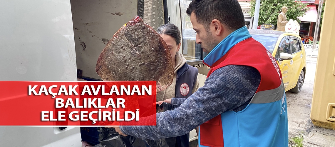 Kaçak avlanan balıklar ele geçirildi