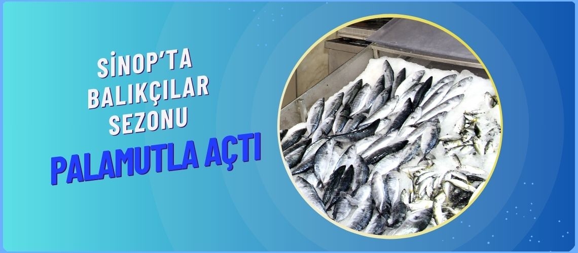 Sinop’ta balıkçılar sezonu palamutla açtı