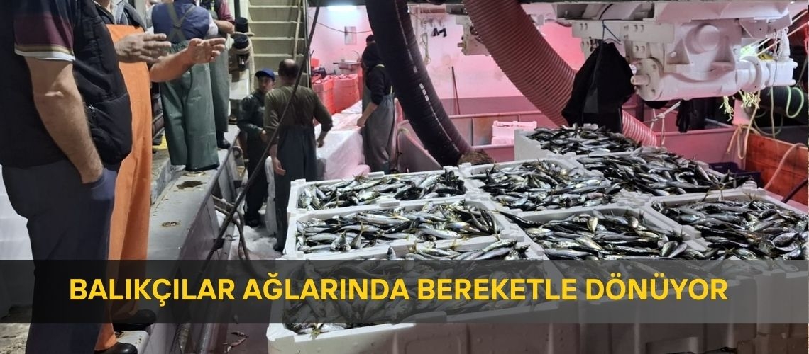 Balıkçılar ağlarında bereketle dönüyor