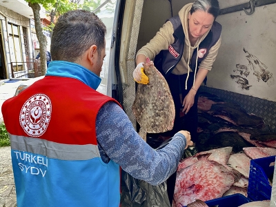 Kaçak avlanan balıklar ele geçirildi