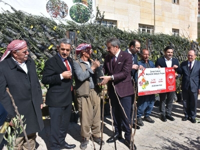 Şırnak'ta meyve fidanı desteği
