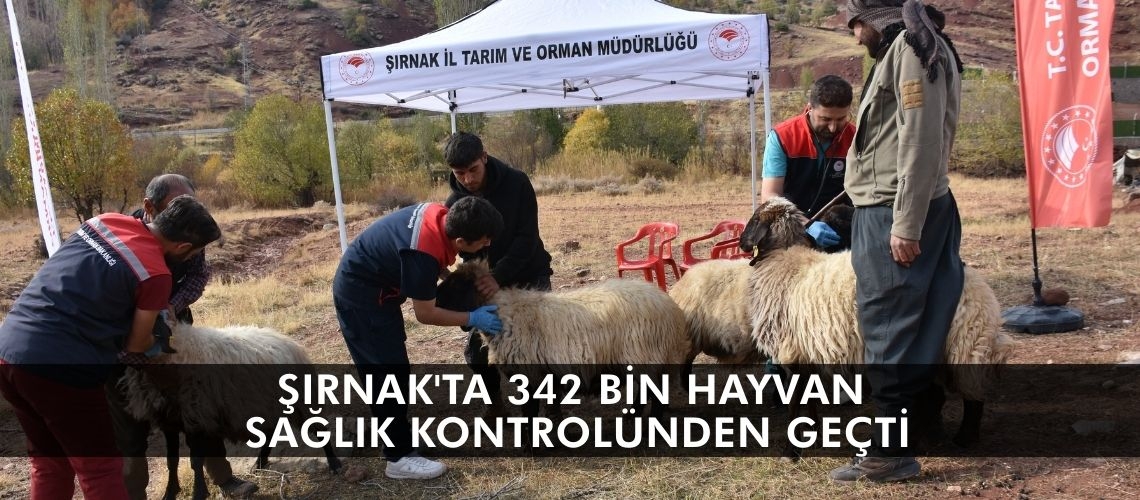 Şırnak'ta 342 bin hayvan sağlık kontrolünden geçti