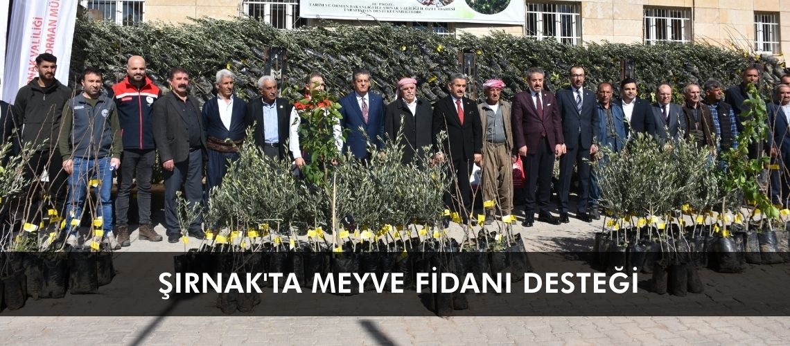 Şırnak'ta meyve fidanı desteği