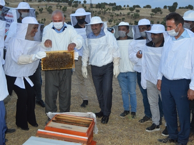 Arılı kovanlar üreticinin yüzünü güldürdü