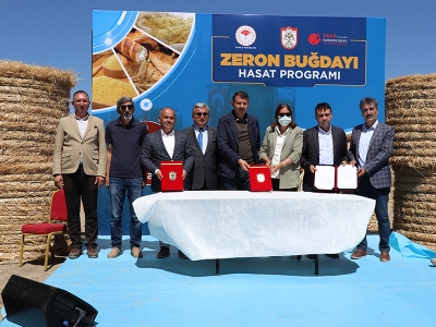 Sivas’ta ata tohumu Zeron buğdayı hasadı yapıldı