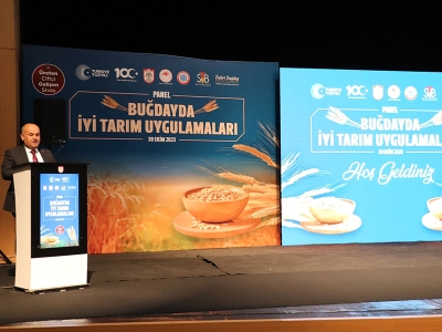 ‘Buğdayda İyi Tarım Uygulamaları’ panelde ele alındı