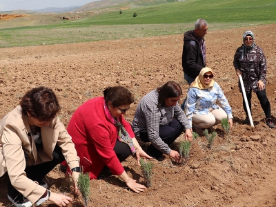 Sivas’ta yenilikler destekle yeşeriyor