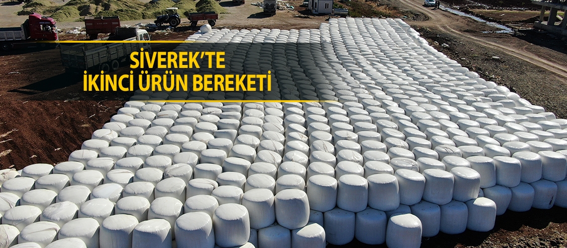 Siverek’te ikinci ürün bereketi