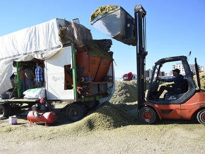 Siverek’te ikinci ürün bereketi