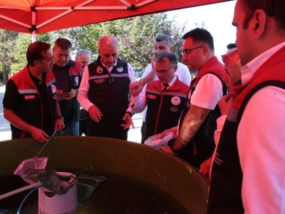 Siyah havyar üretimi için çalışmalar sürüyor