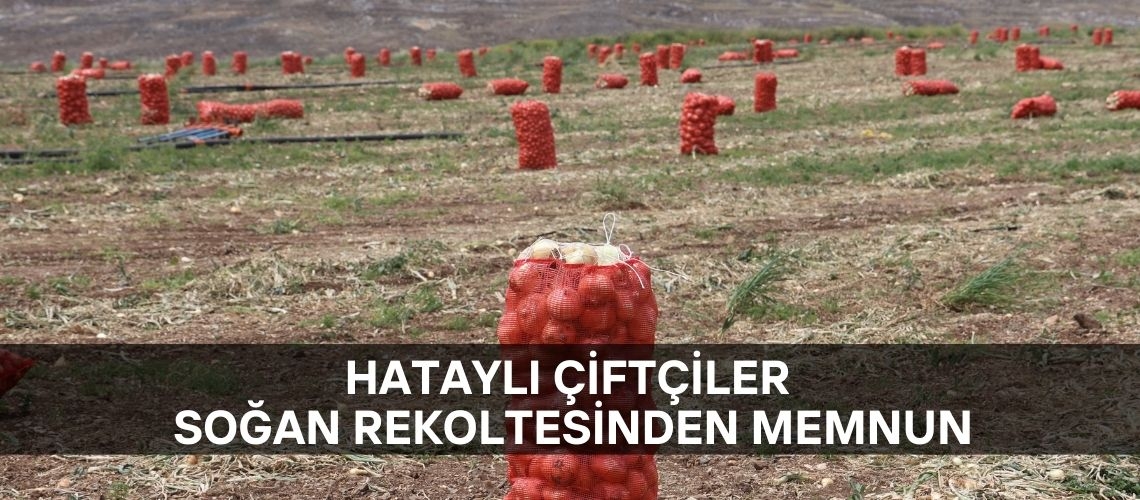 Hataylı çiftçiler soğan rekoltesinden memnun