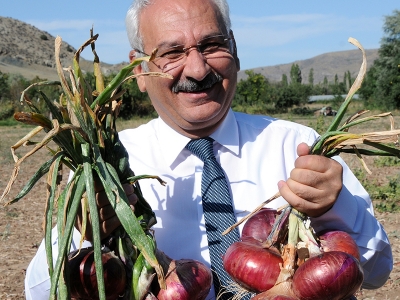 Kılıçlar soğanı üreticisini güldürdü