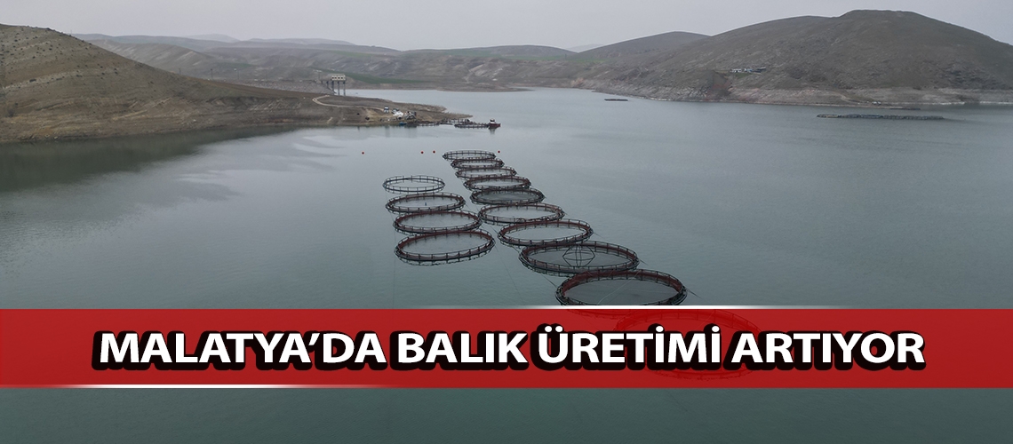 Malatya’da balık üretimi artıyor