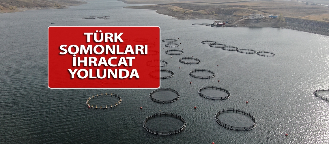 Türk somonları ihracat yolunda