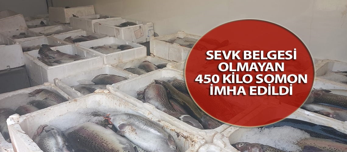 Sevk belgesi olmayan 450 kilo somon imha edildi