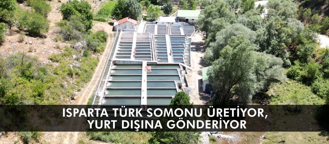 Isparta Türk somonu üretiyor, yurt dışına gönderiyor