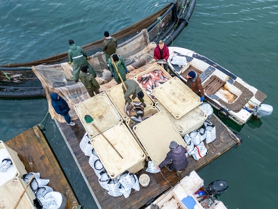 Tokat’tan dünyanın en büyük pazarlarına somon ihraç ediliyor