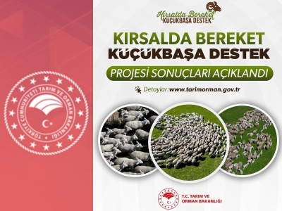 Küçükbaşa Destek Projesi sonuçları açıklandı