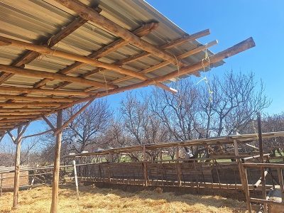 Sosyal medyaya yansıyan hayvancılık işletmesine inceleme başlatıldı