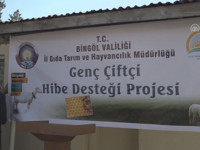 Bingöl’de genç üreticiye hayvan desteği