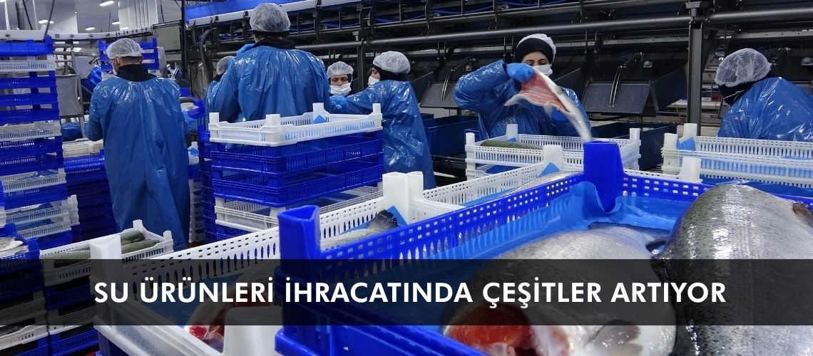 Su ürünleri ihracatında çeşitler artıyor