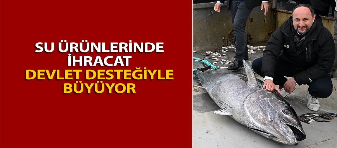 Su ürünlerinde ihracat devlet desteğiyle büyüyor