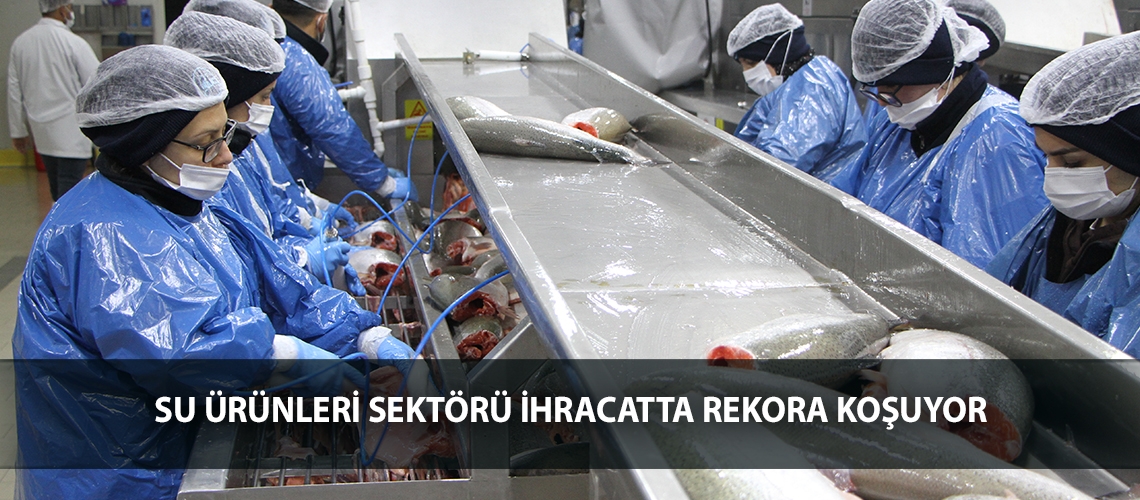 Su ürünleri sektörü ihracatta rekora koşuyor