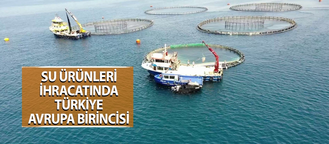 Su ürünleri ihracatında Türkiye Avrupa birincisi