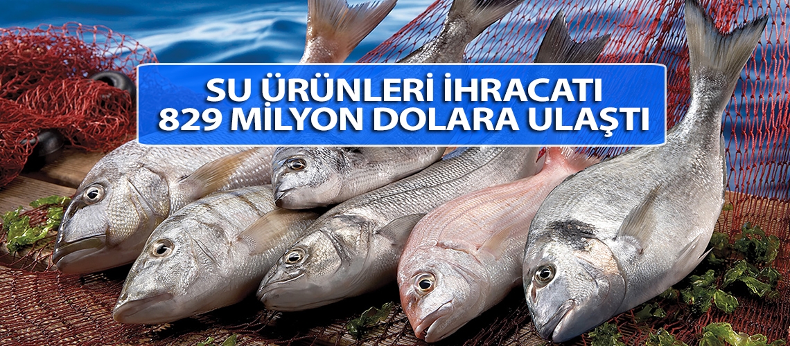 Su ürünleri ihracatı 829 milyon dolara ulaştı