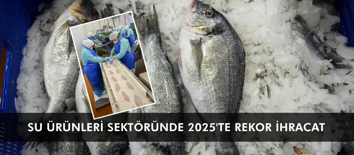 Su ürünleri sektöründe 2025'te rekor ihracat