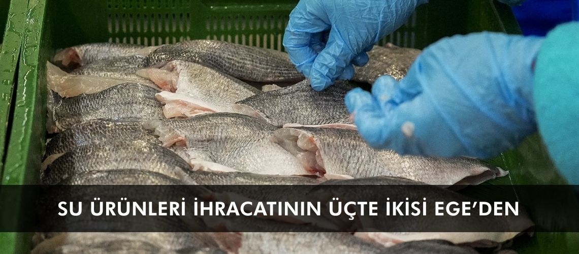 Su ürünleri ihracatının üçte ikisi Ege’den