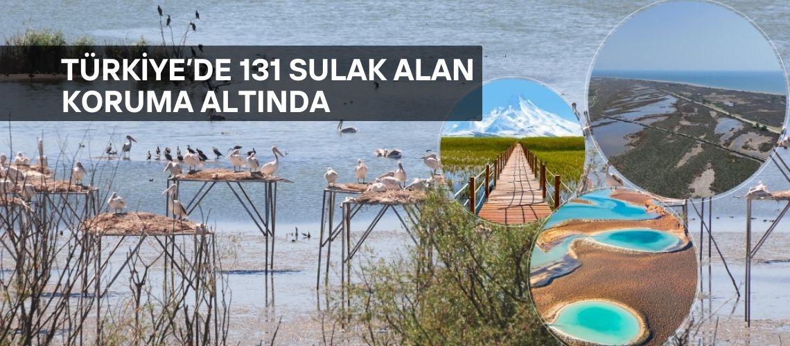 Türkiye’de 131 sulak alan koruma altında