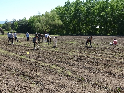 Bakanlıktan doğru sulamaya hibe desteği