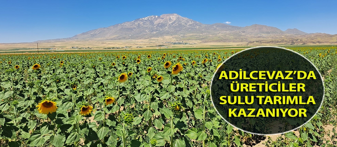 Adilcevaz’da üreticiler sulu tarımla kazanıyor