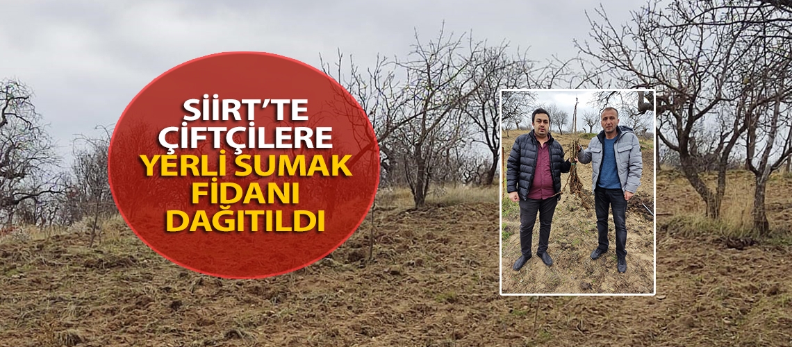 Siirt’te çiftçilere yerli sumak fidanı dağıtıldı