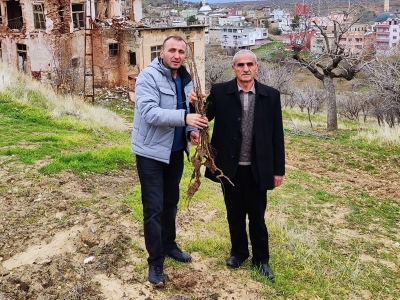 Siirt’te çiftçilere yerli sumak fidanı dağıtıldı