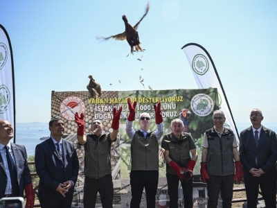 Kahverengi kokarca savaşçıları göreve başladı
