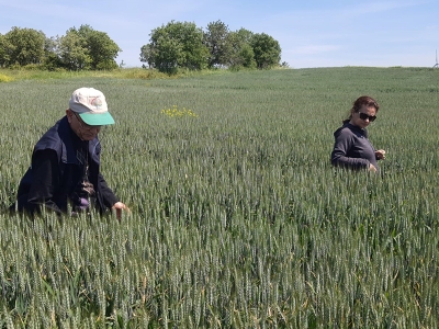 Süneyle mücadele verimi artıracak