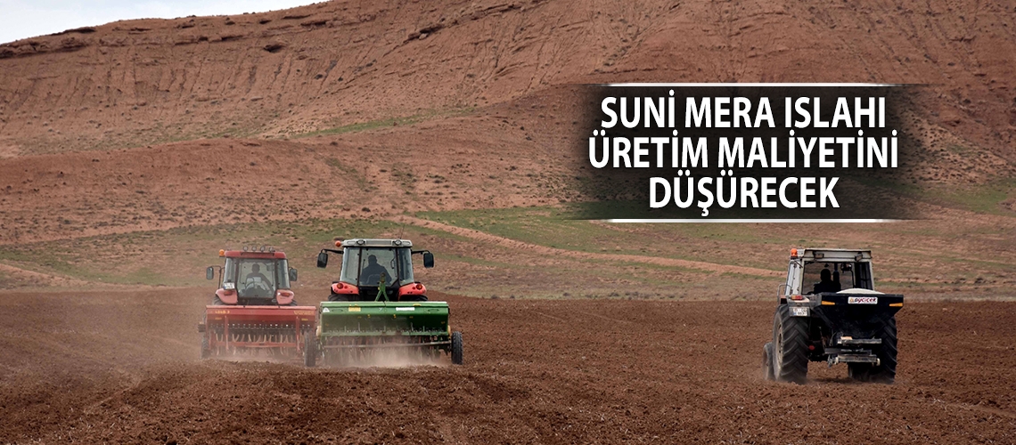 Suni mera ıslahı üretim maliyetini düşürecek