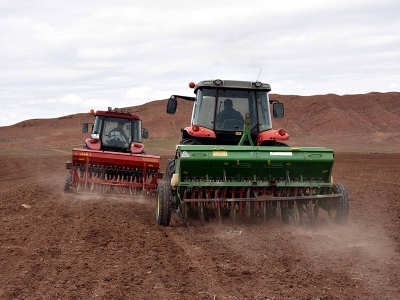 Suni mera ıslahı üretim maliyetini düşürecek