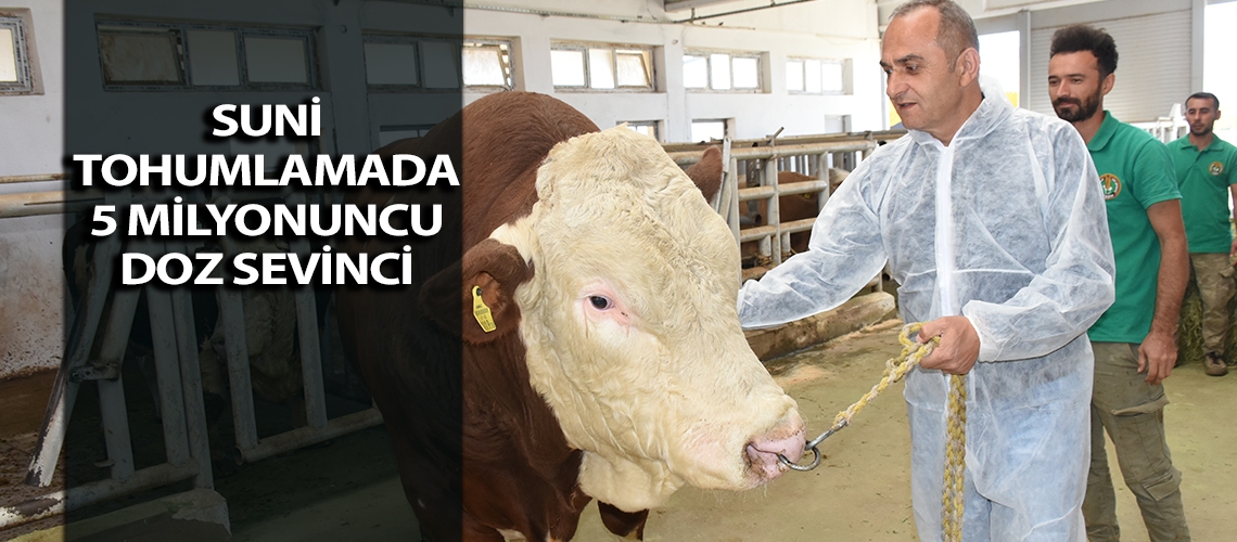 Suni tohumlamada 5 milyonuncu doz sevinci