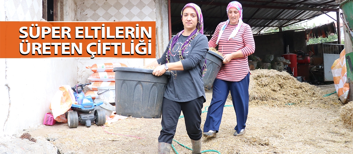 Süper eltilerin üreten çiftliği
