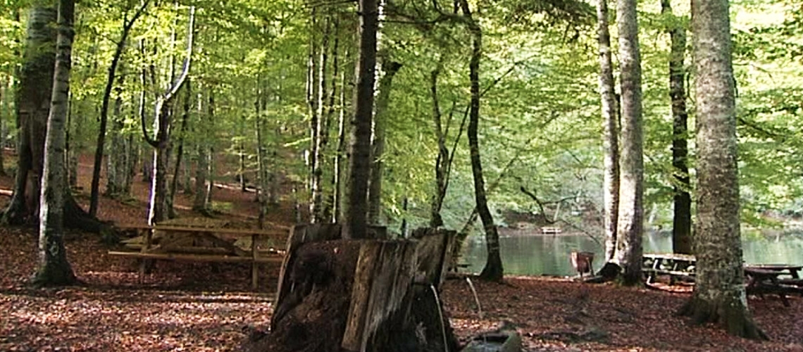 Sürdürülebilir Yaşam ve Ekoköyler