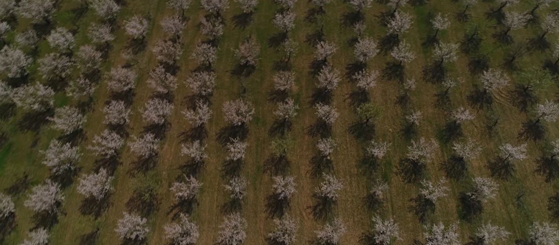 Sürdürülebilir Tarım