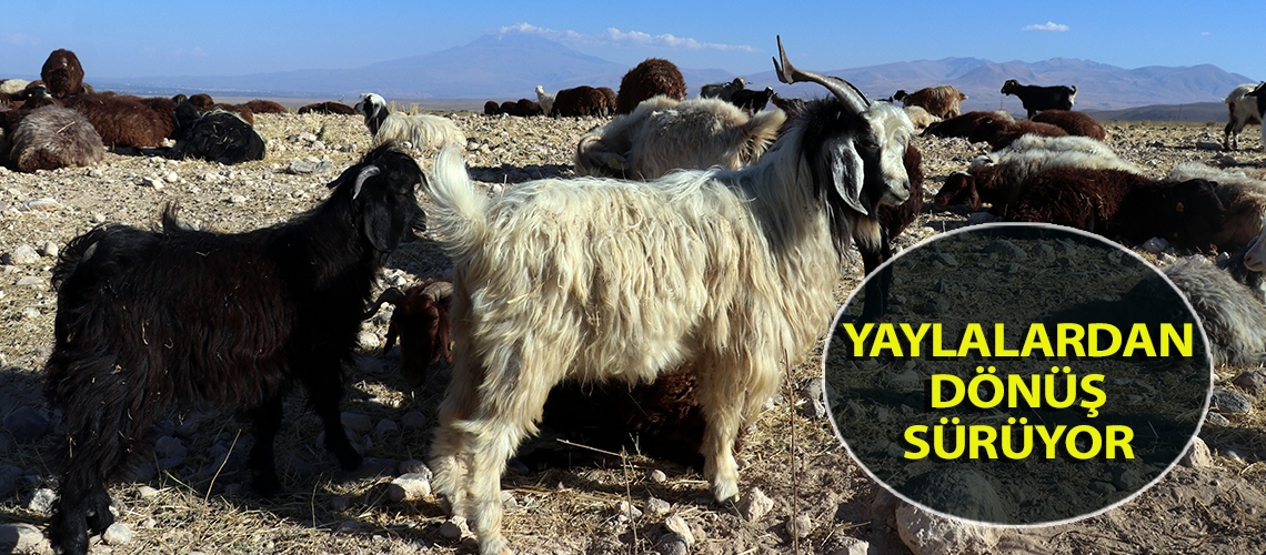 Yaylalardan dönüş sürüyor