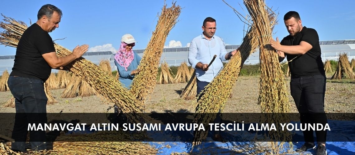 Manavgat Altın Susamı Avrupa Tescili alma yolunda