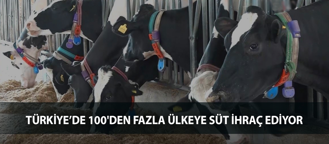 Türkiye’de 100'den fazla ülkeye süt ihraç ediyor