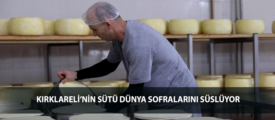 Kırklareli’nin sütü dünya sofralarını süslüyor